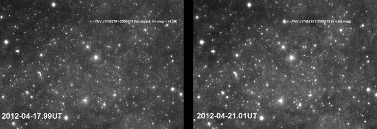 Новая звезда 2012