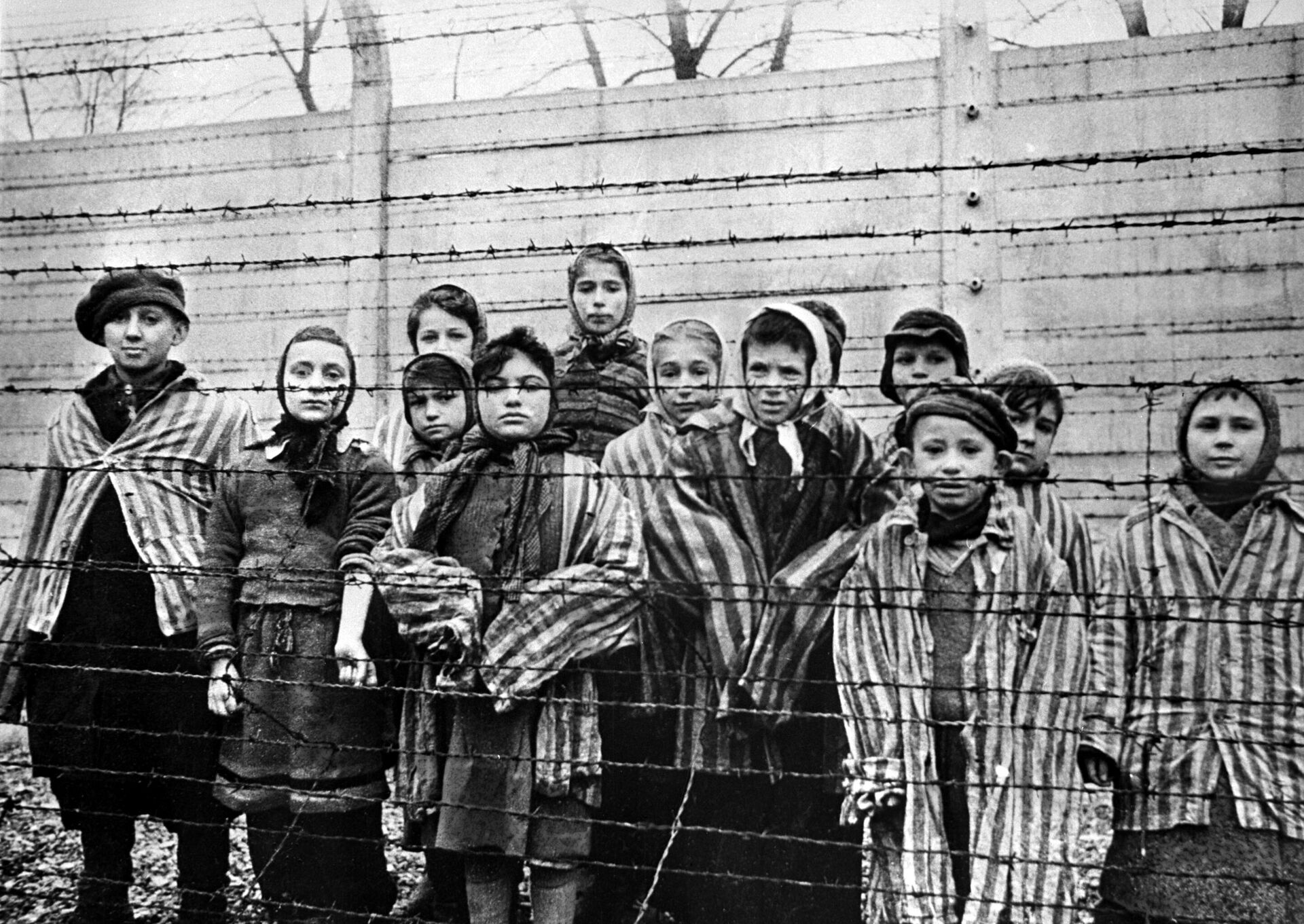 Дети, заключенные концентрационного лагеря Освенцим - РИА Новости, 1920, 29.04.2021