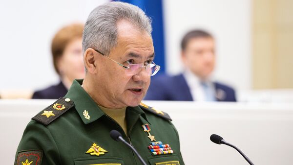 Министр обороны РФ Сергей Шойгу выступает на заседании Совета Федерации