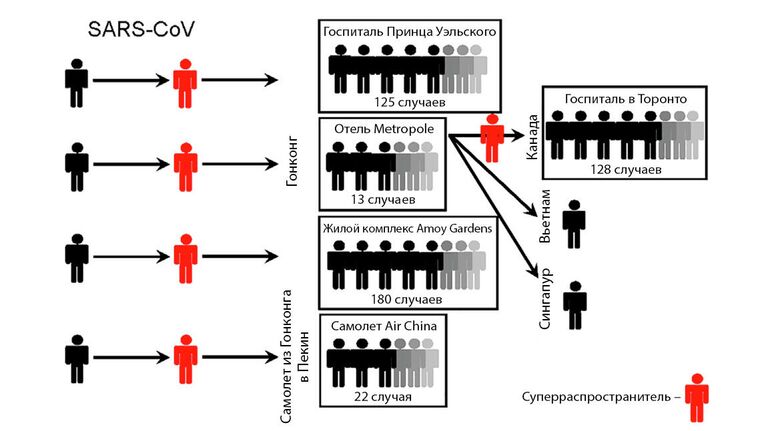 Роль суперраспространителей при заражении вирусом SARS-CoV