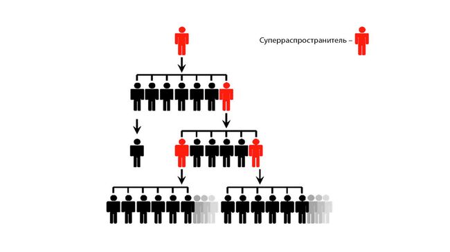 Роль суперраспространителей