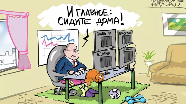 ...сиди дома — не гуляй