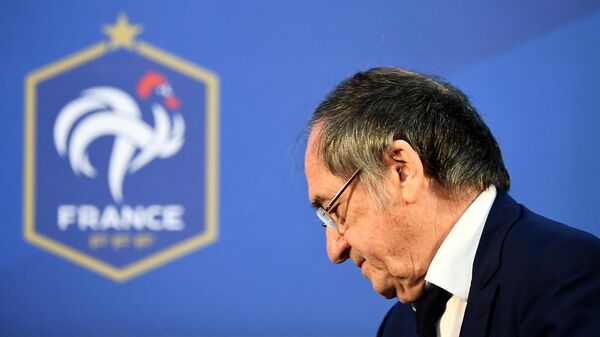 Президент Федерации футбола Франции (FFF) Ноэль Ле Граэ