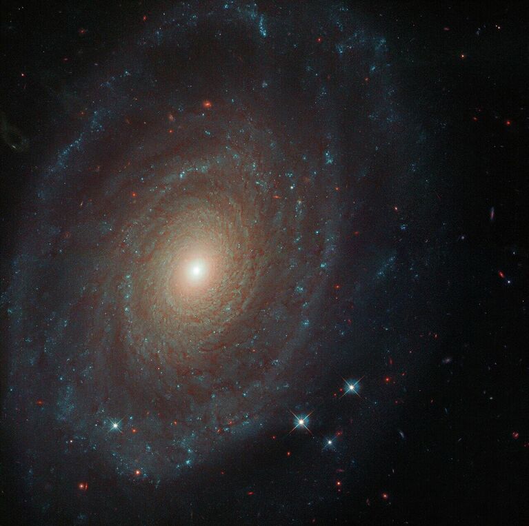 Спиральная галактика NGC 691