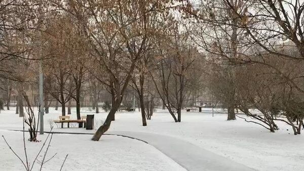 Снег в Москве помогает соблюдать режим самоизоляции