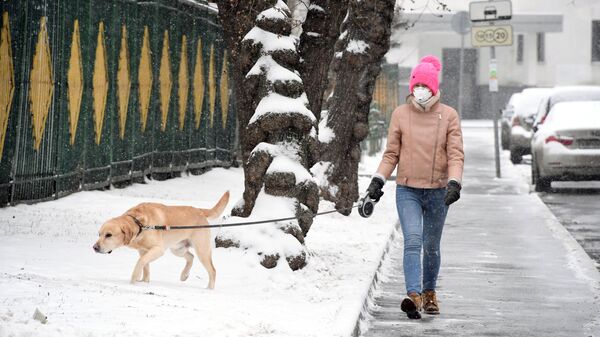 Выгул собак в Москве 