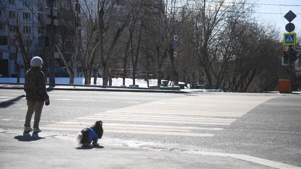 Прохожий с собакой на одной из улиц Москвы