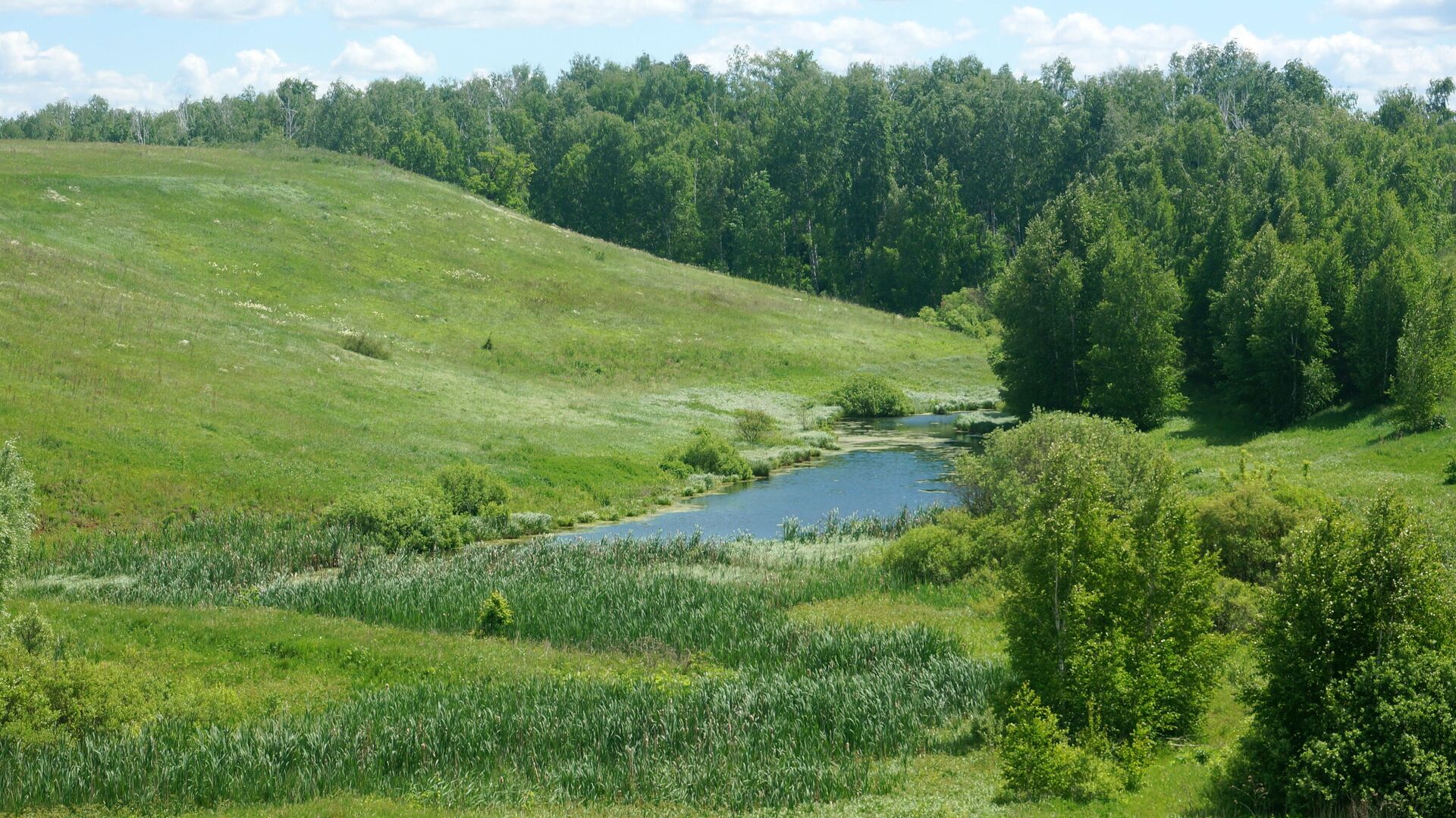 Русские реки на д