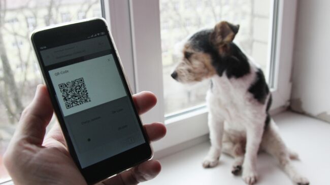 Смартфон жителя Нижегородской области с QR-кодом для предъявления сотруднику полиции при проверке режима самоизоляции