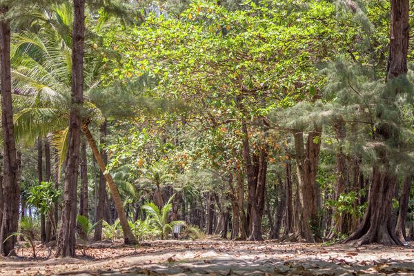 Национальный парк Сиринат в районе Майхао на острове Пхукет в Таиланде