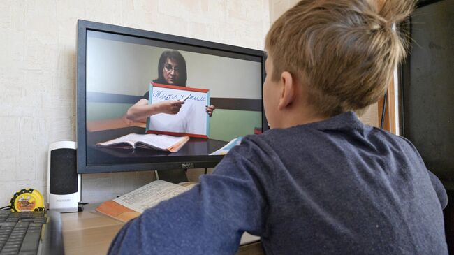 Петербургский школьник во время онлайн-занятия