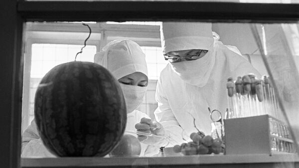 Борьба с эпидемией холеры в Астрахани. Бактериологический анализ овощей и фруктов в городской лаборатории
