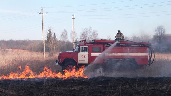 Сотрудник пожарной службы тушит полевой пожар
