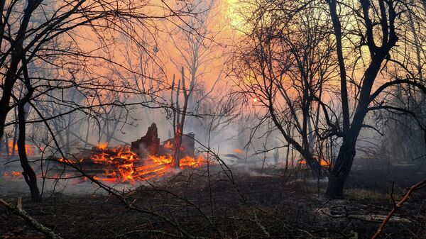 Пожар в Чернобыльской зоне отчуждения