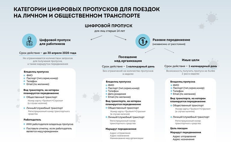 Категории цифровых пропусков для поездок на транспорте в Москве