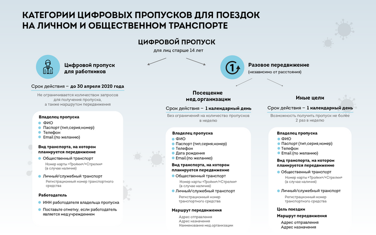 Категории цифровых пропусков для поездок на транспорте в Москве