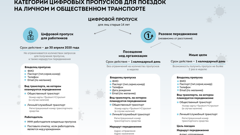 Категории цифровых пропусков для поездок на транспорте в Москве