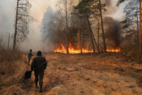 Сотрудники лесничества во время тушения пожара на территории зоны отчуждения Чернобыльской АЭС на Украине