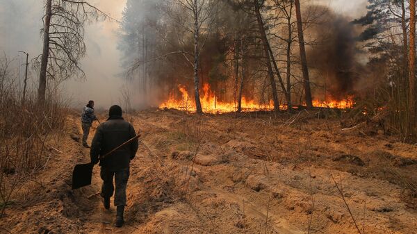 Сотрудники лесничества во время тушения пожара на территории зоны отчуждения Чернобыльской АЭС на Украине