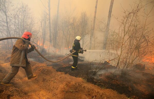 Сотрудники пожарной охраны во время тушения пожара на территории зоны отчуждения Чернобыльской АЭС