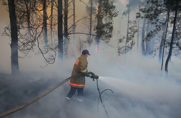 Сотрудник пожарной охраны во время тушения пожара в зоне отчуждения Чернобыльской АЭС