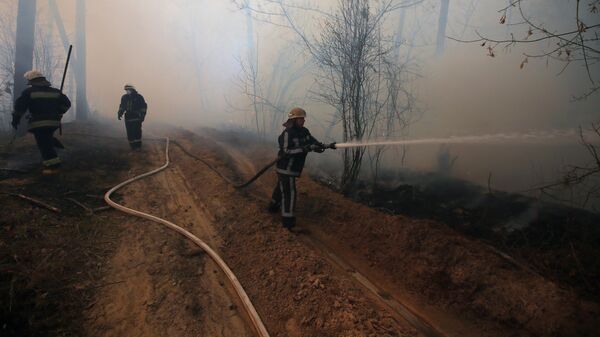 Сотрудники пожарной охраны во время тушения пожара в зоне отчуждения Чернобыльской АЭС