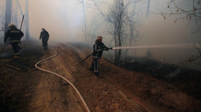 Сотрудники пожарной охраны во время тушения пожара в зоне отчуждения Чернобыльской АЭС