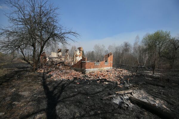 Сгоревший частный дом в результате пожара в зоне отчуждения Чернобыльской АЭС