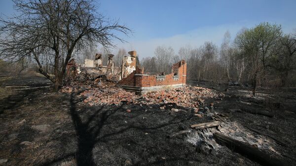 Сгоревший частный дом в результате пожара в зоне отчуждения Чернобыльской АЭС