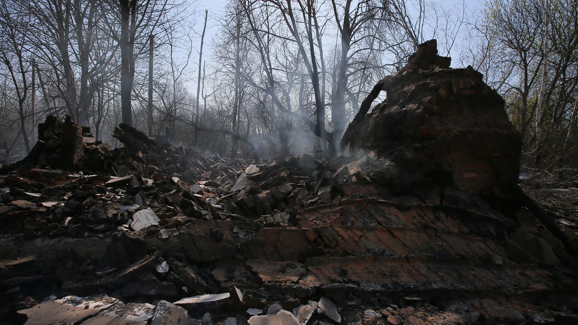 Сгоревший частный дом в результате пожара в зоне отчуждения Чернобыльской АЭС  - РИА Новости, 1920, 22.06.2020