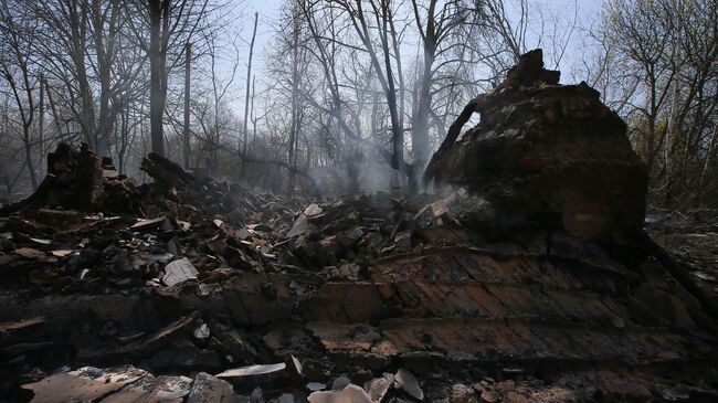 Сгоревший частный дом в результате пожара в зоне отчуждения Чернобыльской АЭС 