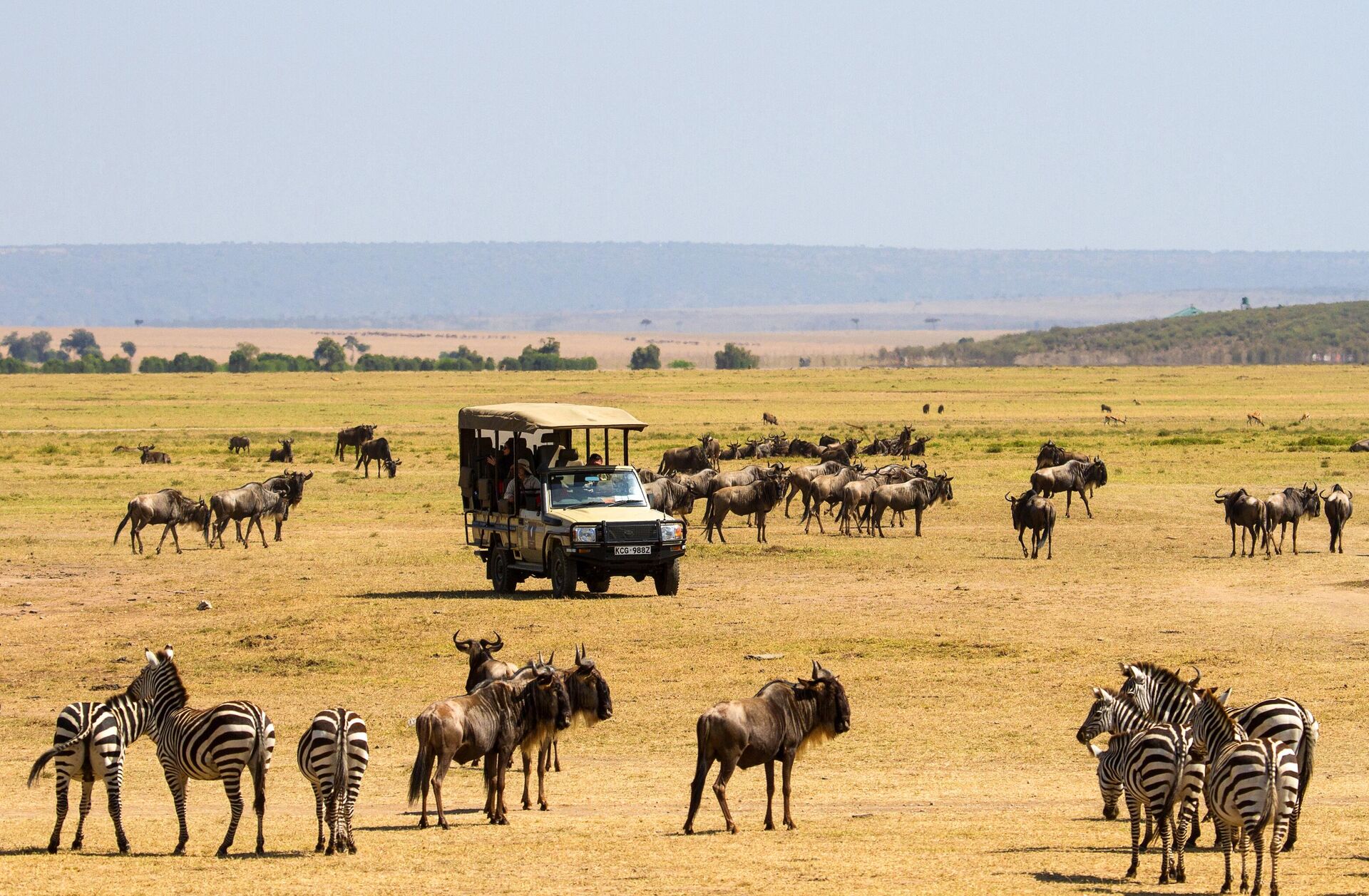 Туристы наблюдают за дикими животными в национальном заповеднике Масаи-Мара в Кении - РИА Новости, 1920, 23.11.2022