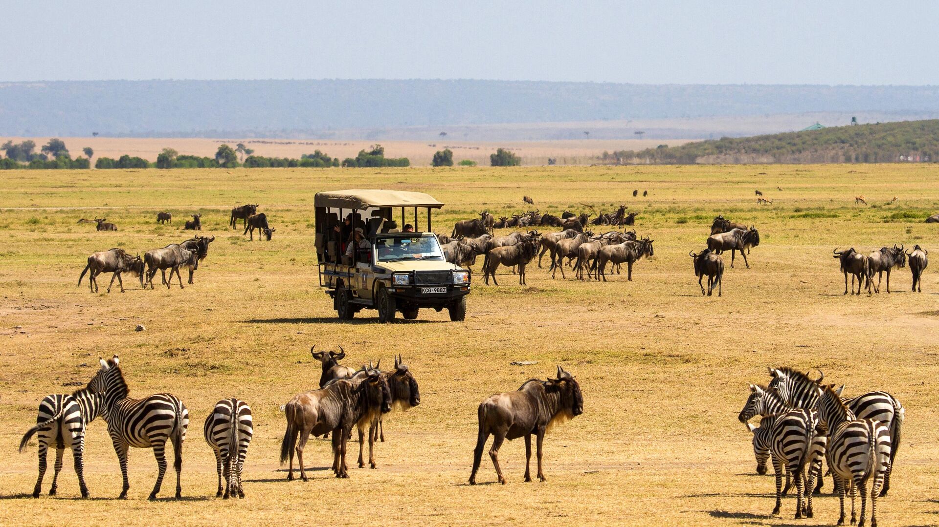 Туристы наблюдают за дикими животными в национальном заповеднике Масаи-Мара в Кении - РИА Новости, 1920, 25.10.2022