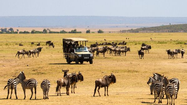 Туристы наблюдают за дикими животными в национальном заповеднике Масаи-Мара в Кении