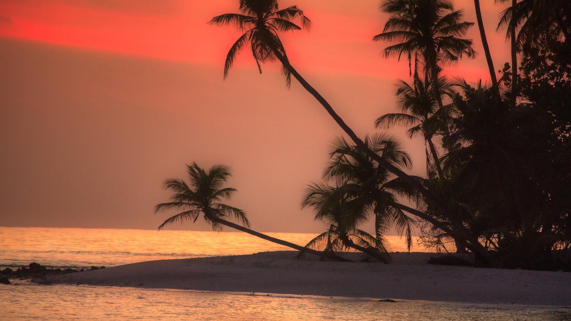 Восход солнца на одном из Мальдивских островов  - РИА Новости, 1920, 02.01.2021