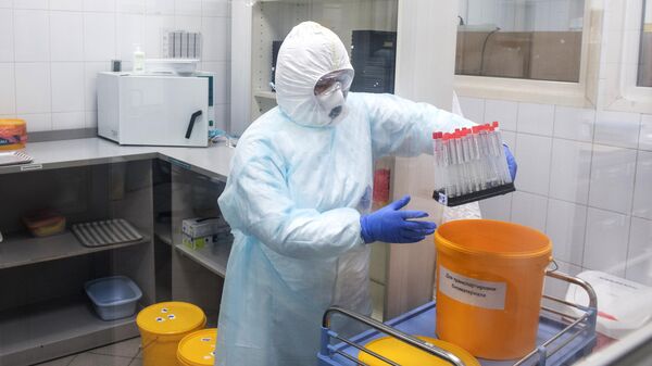 Сотрудники лаборатории проводят тесты на коронавирус