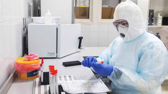Сотрудник лаборатории проводит тесты на коронавирус