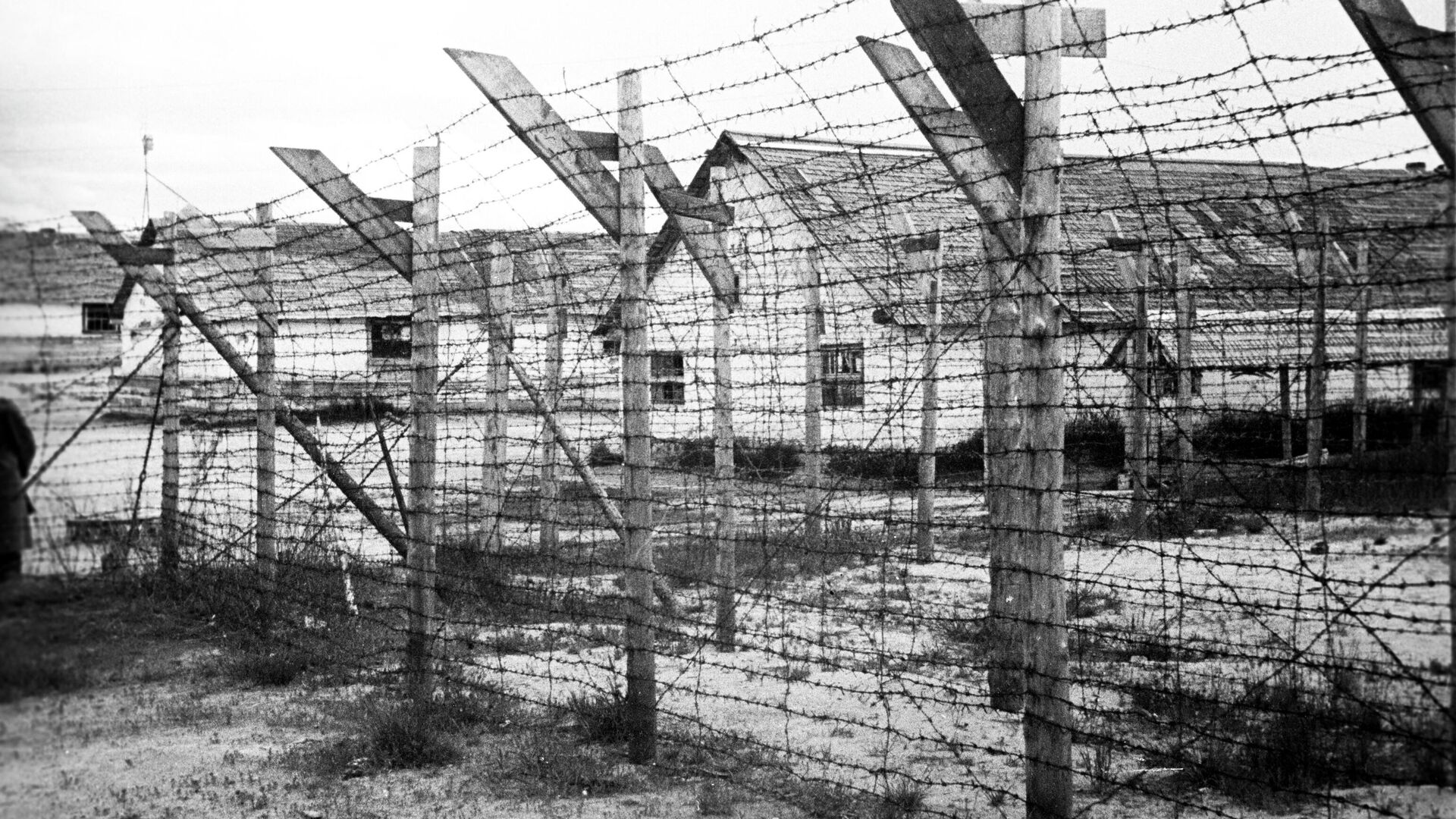 Финский концентрационный лагерь в городе Медвежьегорске - РИА Новости, 1920, 31.05.2021