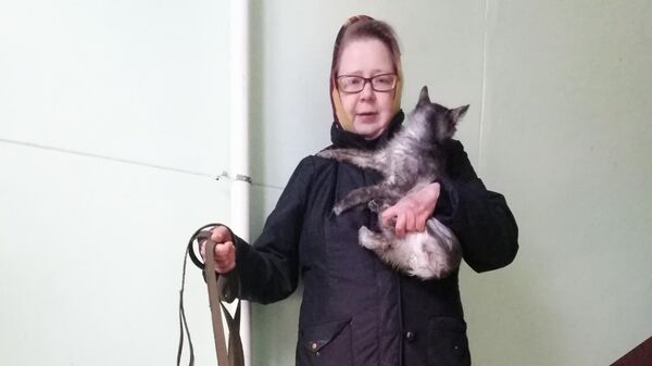 Елена с котом и собакой