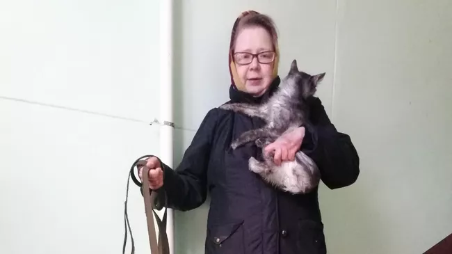 Елена с котом и собакой