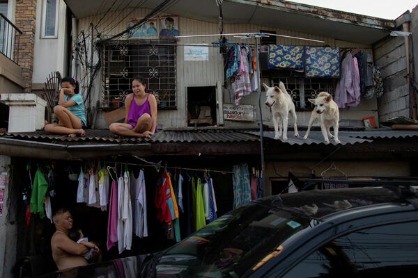 Девушки со своими собаками на крыше своего дома в Маниле, Филиппины. 21 апреля 2020 года