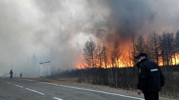 Сотрудники пожарной службы МЧС РФ во время тушения природного пожара около села Иван-Озеро в Забайкальском крае