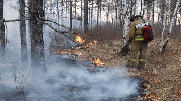 Сотрудники пожарной службы МЧС РФ во время тушения природного пожара около села Иван-Озеро в Забайкальском крае