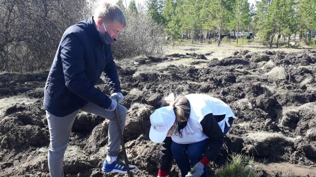 Участники акции Сад памяти высадили 10 миллионов деревьев