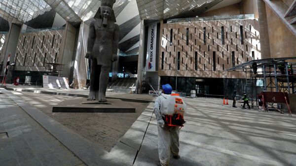 Сотрудник проводит дезинфекцию перед статуей короля Рамзеса II в Большом египетском музее, открытие которого было отложено из-за коронавируса
