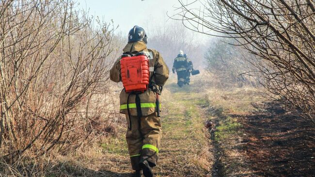 Курганские пожарные остановили огонь