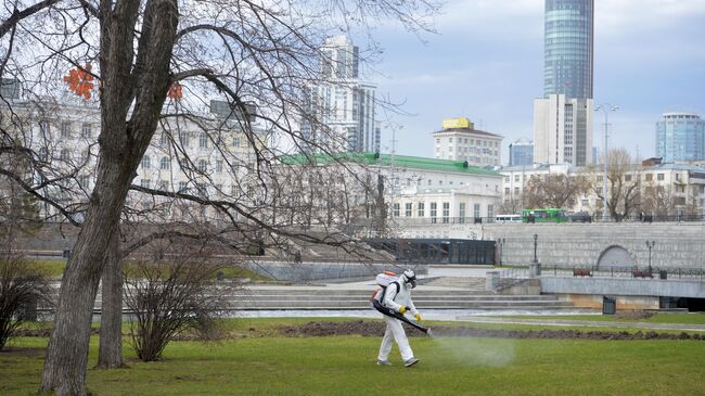 Профилактика распространения клещей в Екатеринбурге