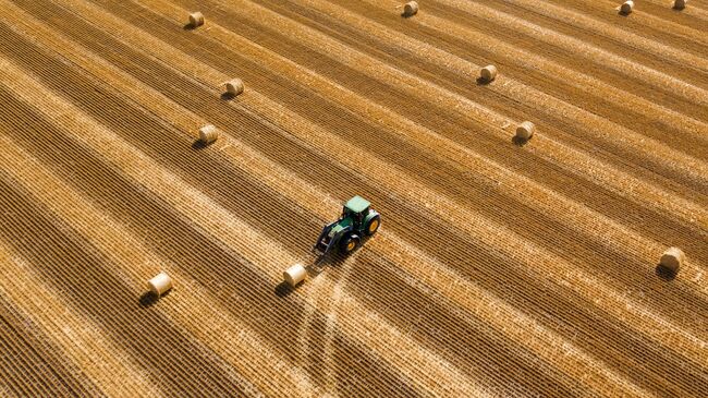 Заготовка рулонов сена на поле в Краснодарском крае