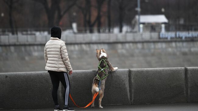 Теплая погода в Москве