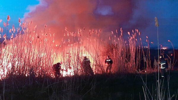 Пожар в Азовском районе Ростовской области